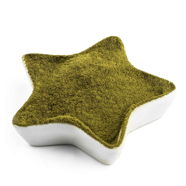Natural Mint Powder